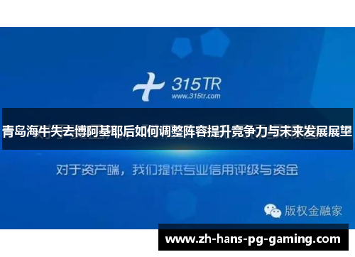 青岛海牛失去博阿基耶后如何调整阵容提升竞争力与未来发展展望 青岛海牛失去博阿基耶后如何调整阵容提升竞争力与未来发展展望