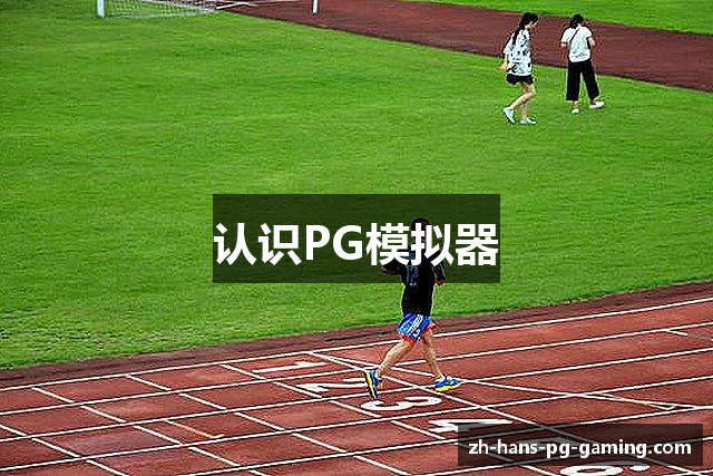 认识PG模拟器